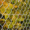 PVC coated Chain link wire on sale